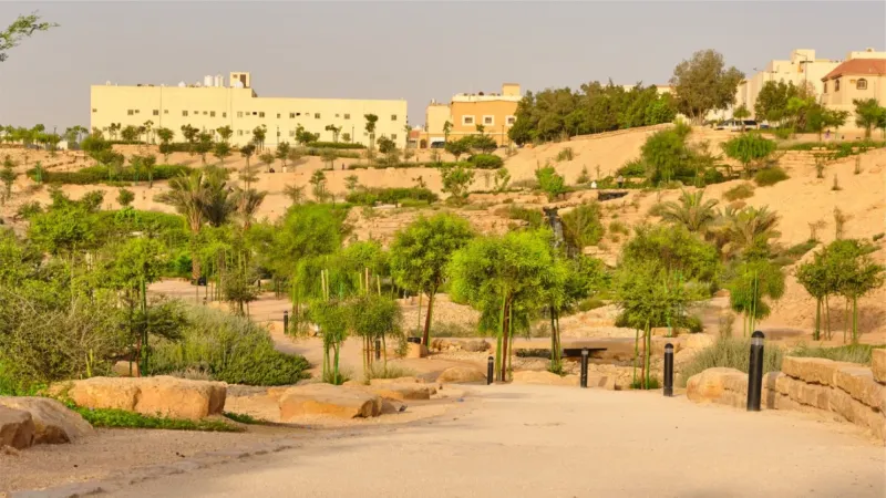 انطلاق موسم التشجير الوطني بمختلف مناطق المملكة غدًا انطلاق موسم التشجير الوطني بمختلف مناطق المملكة غدًا