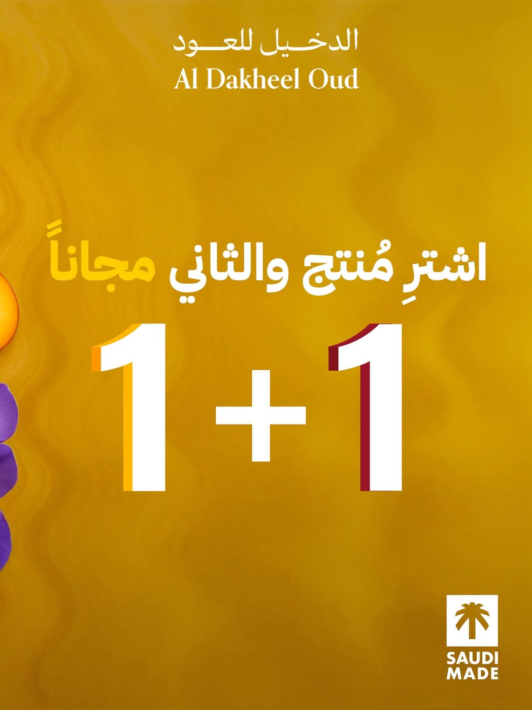 عرض الدخيل للعود  