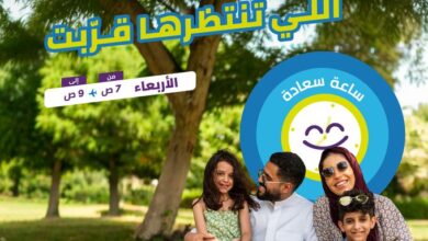 عرض طيران أديل الأربعاء فقط