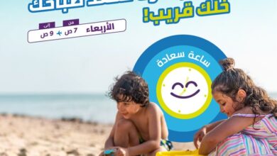 عرض طيران أديل الأربعاء فقط