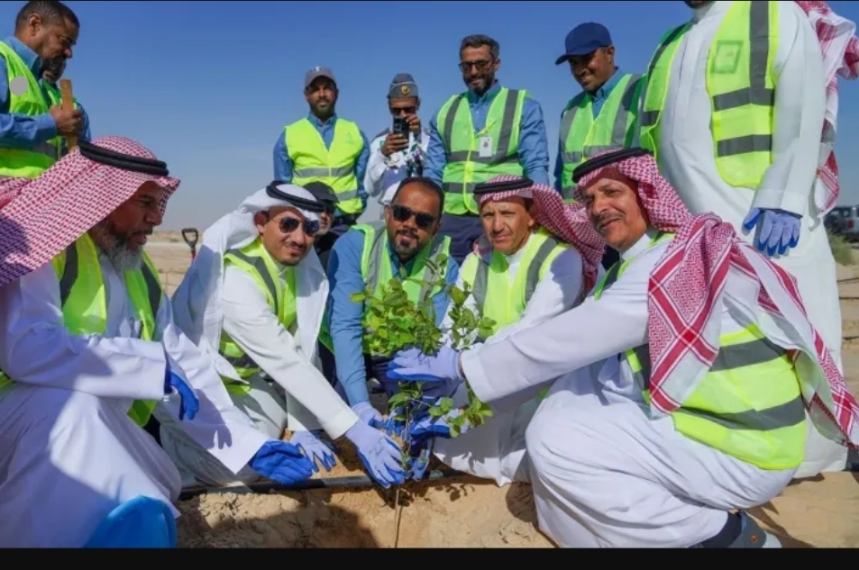 "الري" تستهدف زراعة 2 مليون شجرة بحلول 2030