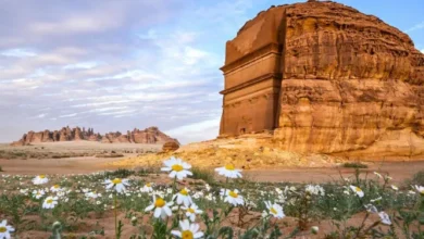 حظر القيادة المضرة بأراضي الغطاء النباتي في العلا