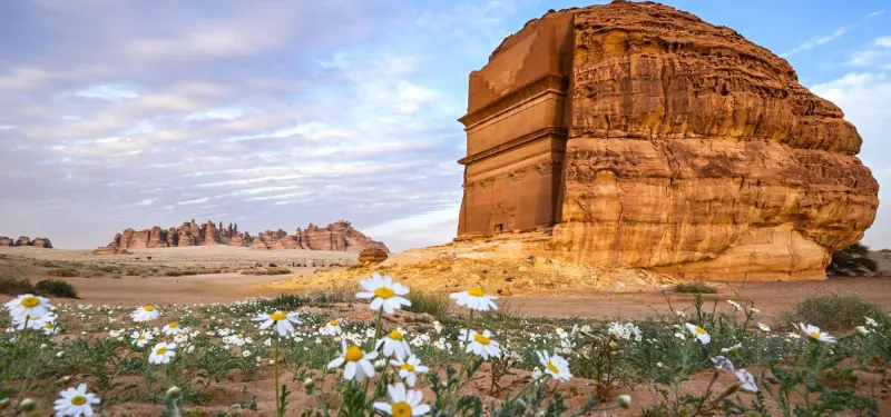 حظر القيادة المضرة بأراضي الغطاء النباتي في العلا
