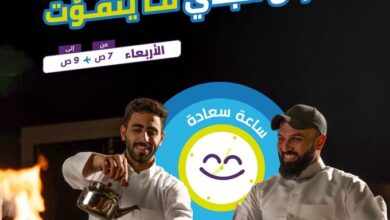 عرض طيران أديل الأربعاء فقط