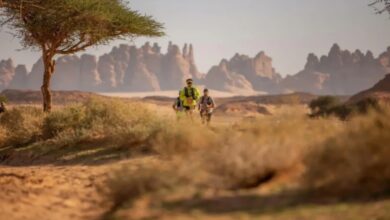 رفع الإيقاف عن بيع وشراء الأراضي والعقارات في وسط وجنوب العلا