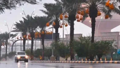 5 تنبيهات مهمة لتعزيز السلامة العامة خلال الأجواء الممطرة