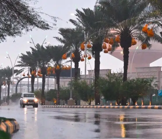 5 تنبيهات مهمة لتعزيز السلامة العامة خلال الأجواء الممطرة 5 تنبيهات مهمة لتعزيز السلامة العامة خلال الأجواء الممطرة