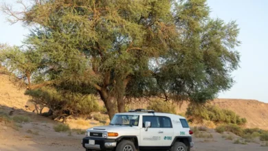 "البيئة" تحذر من العبور العشوائي للمناطق البرية والمحمية