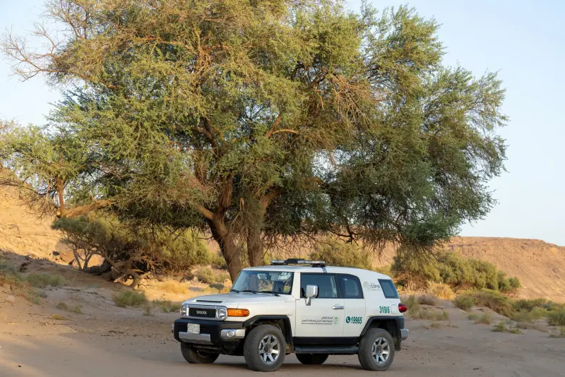 "البيئة" تحذر من العبور العشوائي للمناطق البرية والمحمية "البيئة" تحذر من العبور العشوائي للمناطق البرية والمحمية