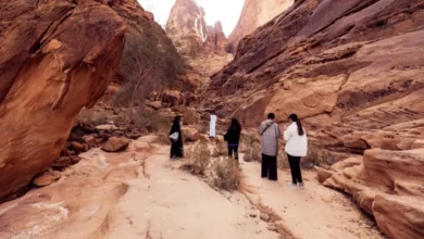 خدمة بحث وإنقاذ عبر الأقمار الصناعية لهواة البر