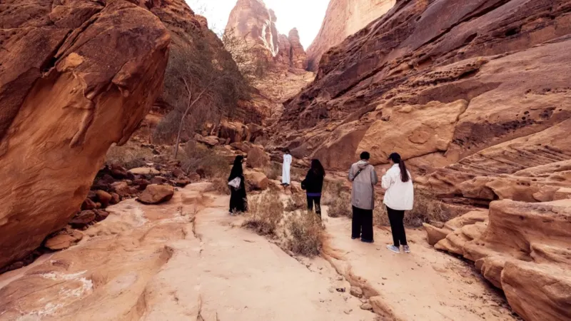 خدمة بحث وإنقاذ عبر الأقمار الصناعية لهواة البر