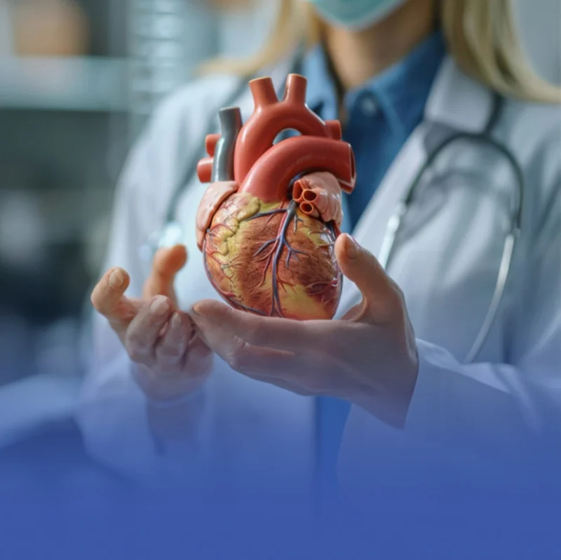 أمراض الشتاء قد تزيد خطر الإصابة بالنوبات القلبية