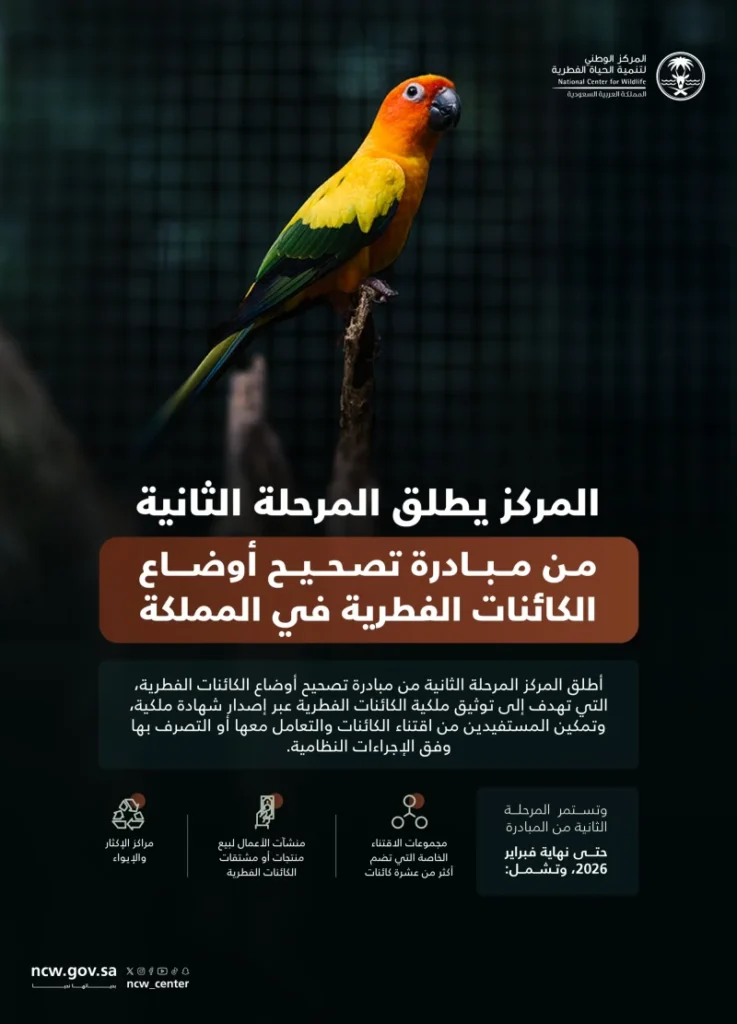 بدء المرحلة الثانية من تصحيح أوضاع الكائنات غير المرخصة