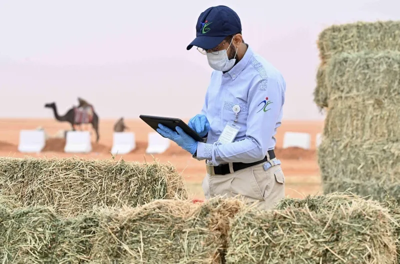 "الغذاء والدواء": ارتفاع المنتجات العلفية بنسبة 60%