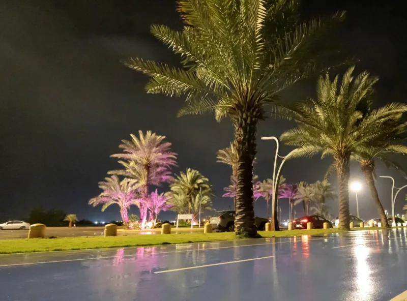 أمطار غزيرة على معظم المناطق حتى نهاية الأسبوع أمطار غزيرة على معظم المناطق حتى نهاية الأسبوع