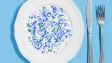 اكتشاف مصادر جديدة لجزيئات البلاستيك بالأغذية